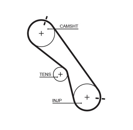 Gates 5560XS Timing Belt - 1