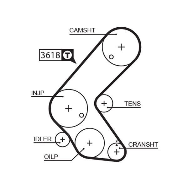 Gates 5563XS Timing Belt - 1