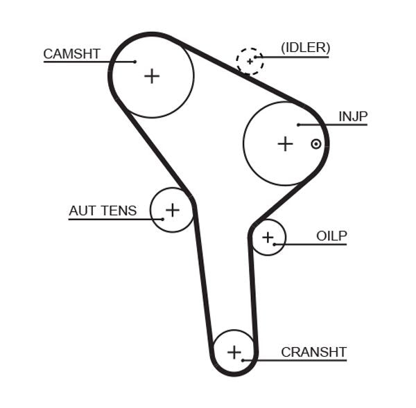Gates 5564XS Timing Belt - 1