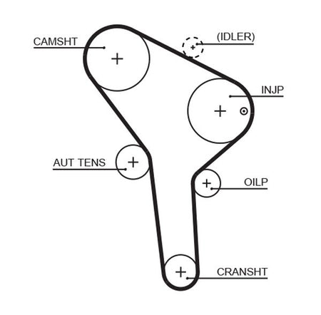 Gates 5564XS Timing Belt - 1