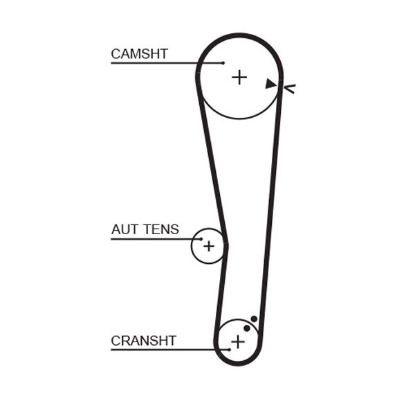 Gates 5568XS Timing Belt - 1