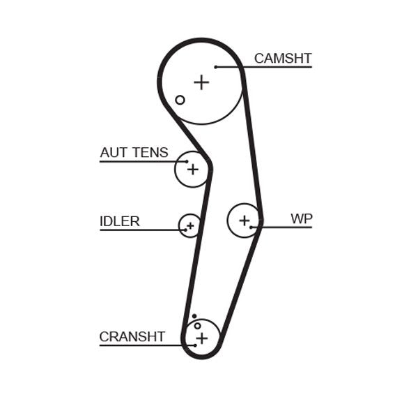 Gates 5569XS Timing Belt - 1