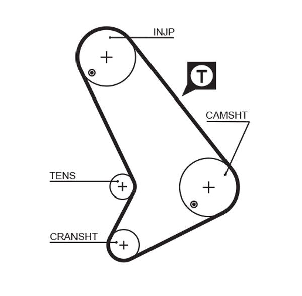 Gates 5571XS Timing Belt - 1