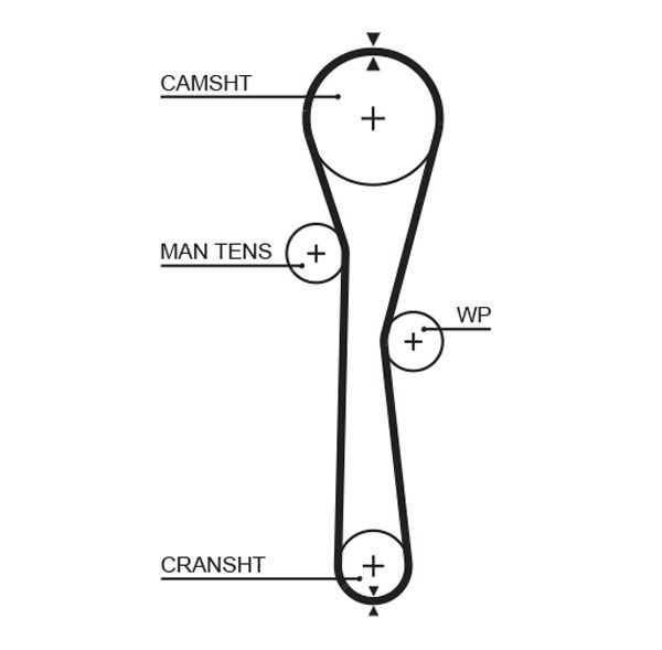 Gates 5577XS Timing Belt - 1