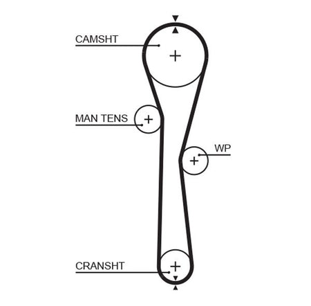 Gates 5577XS Timing Belt - 1