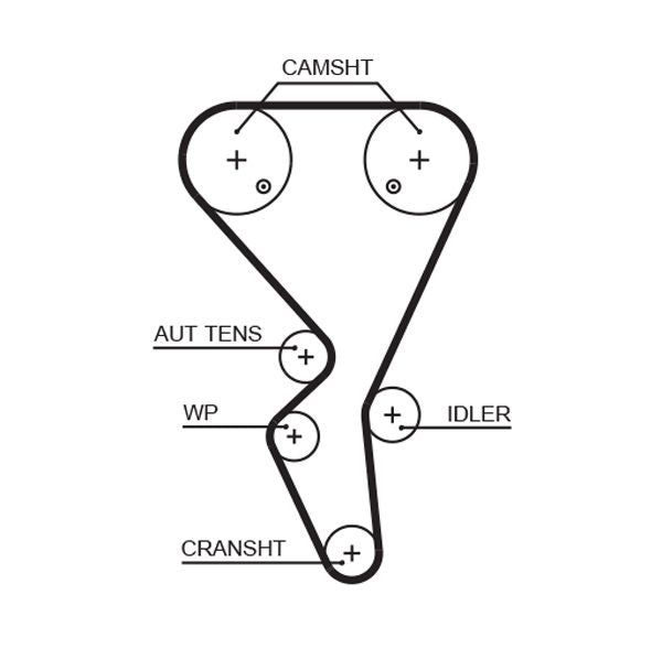 Gates 5581XS Timing Belt - 1