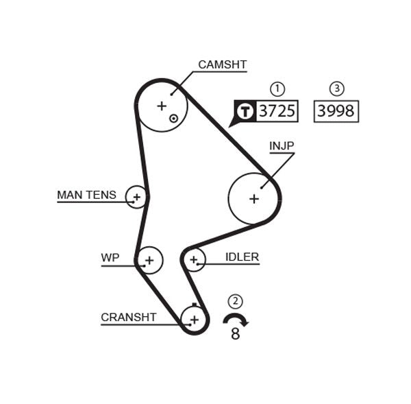 Gates 5588XS Timing Belt - 1
