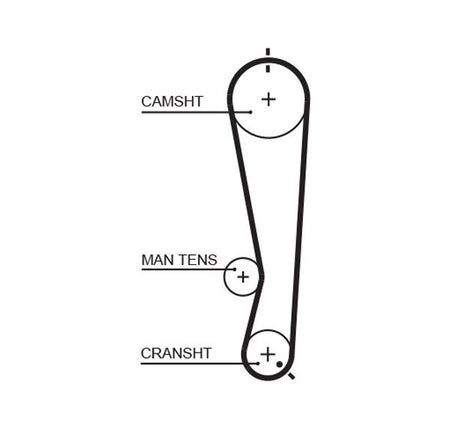 Gates 5591XS Timing Belt - 1