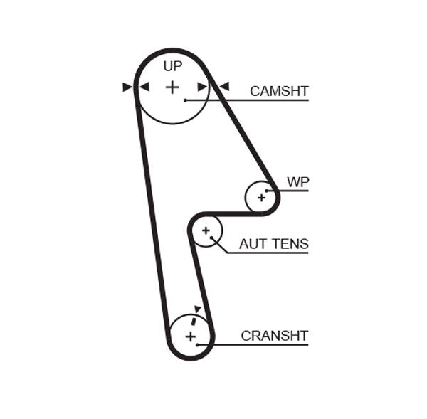 Gates 5593XS Timing Belt - 1