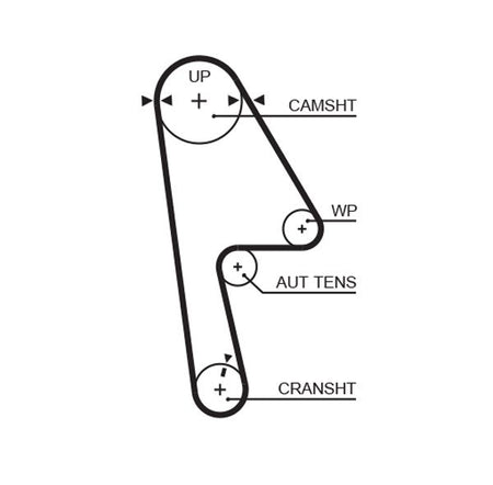 Gates 5593XS Timing Belt - 1