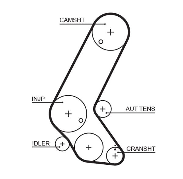 Gates 5595XS Timing Belt - 1