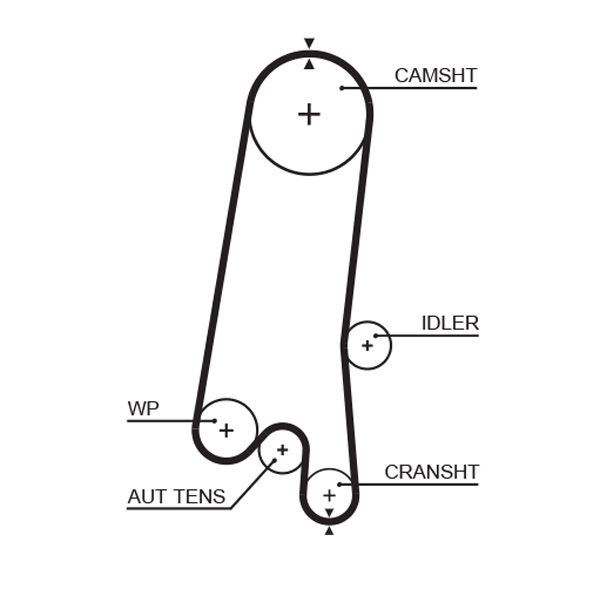 Gates 5597XS Timing Belt - 1