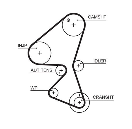 Gates 5598XS Timing Belt - 1