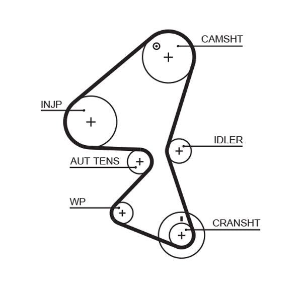Gates 5598XS Timing Belt - 1