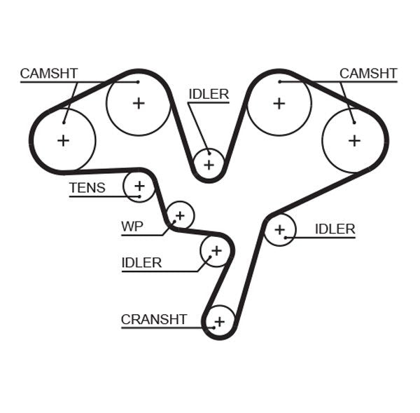 Gates 5602XS Timing Belt - 1
