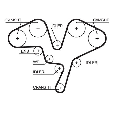 Gates 5602XS Timing Belt - 1