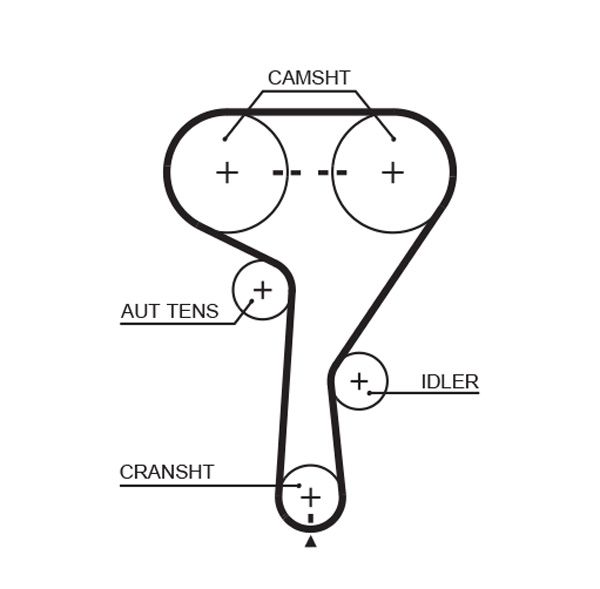 Gates 5603XS Timing Belt - 1