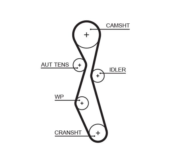 Gates 5606XS Timing Belt - 1