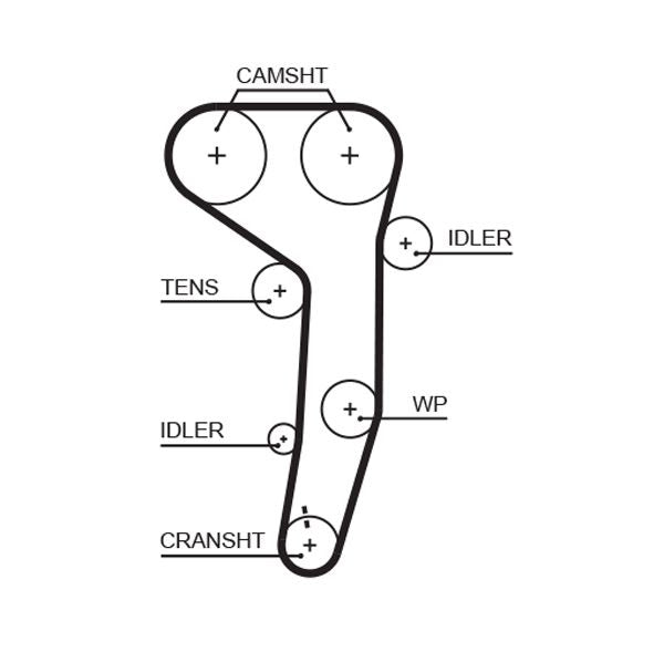 Gates 5607XS Timing Belt - 1