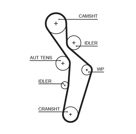 Gates 5616XS Timing Belt - 1