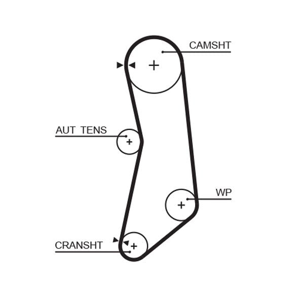 Gates 5626XS Timing Belt - 1