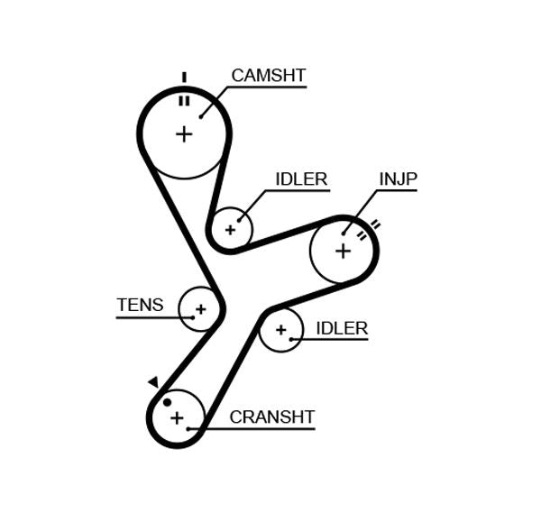 Gates 5641XS Timing Belt - 1