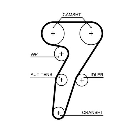 Gates 5653XS Timing Belt - 1