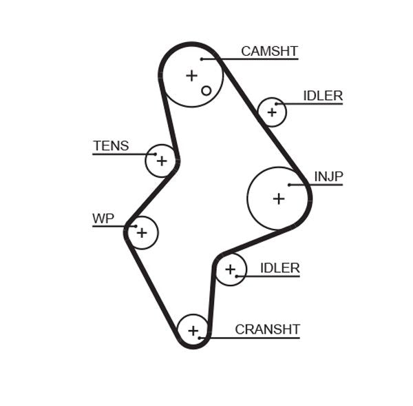 Gates 5658XS Timing Belt - 1