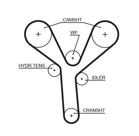 Gates 5660XS Timing Belt - 1