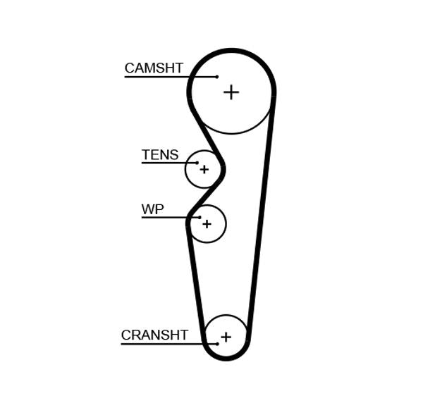 Gates 5665XS Timing Belt - 1