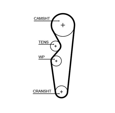 Gates 5665XS Timing Belt - 1