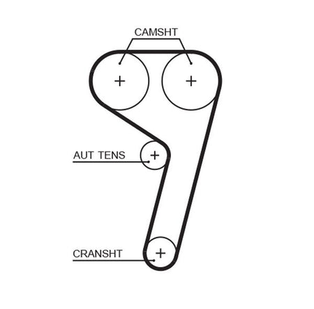 Gates 5669XS Timing Belt - 1