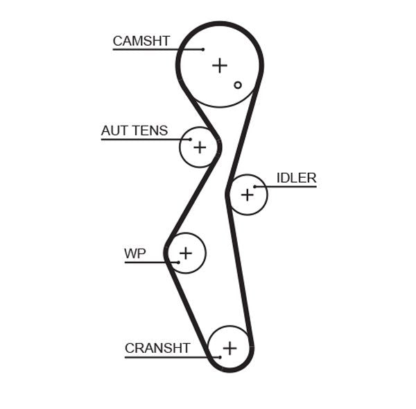 Gates 5672XS Timing Belt - 1