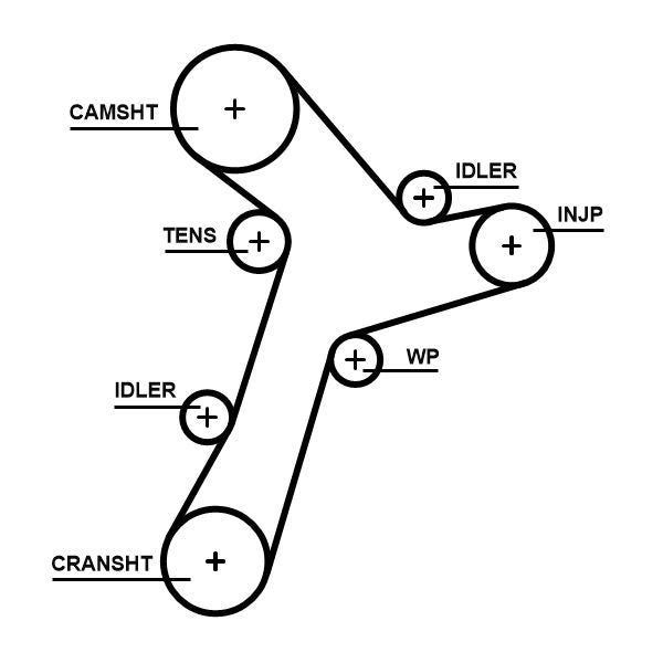 Gates 5695XS Timing Belt - 1