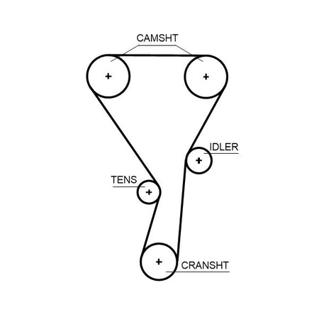 Gates 5724XS Timing Belt - 1