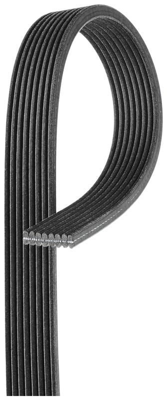 Gates 8DPK1825 V-ribbed Belt - 1