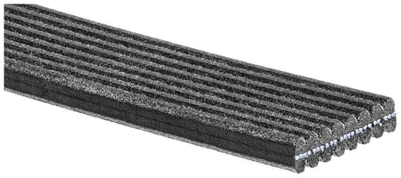 Gates 8DPK1825 V-ribbed Belt - 2