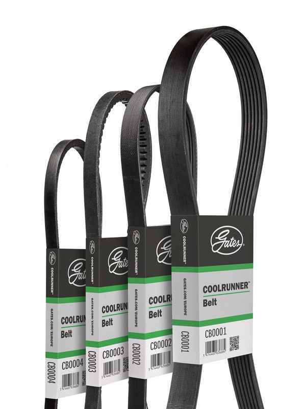 Gates CB0073A V-ribbed Belt - 1
