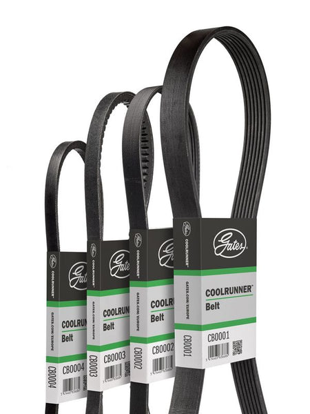 Gates CB0073A V-ribbed Belt - 1