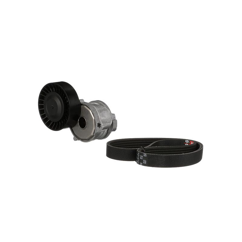 Gates K015PK1095 V-ribbed Belt Set - 5