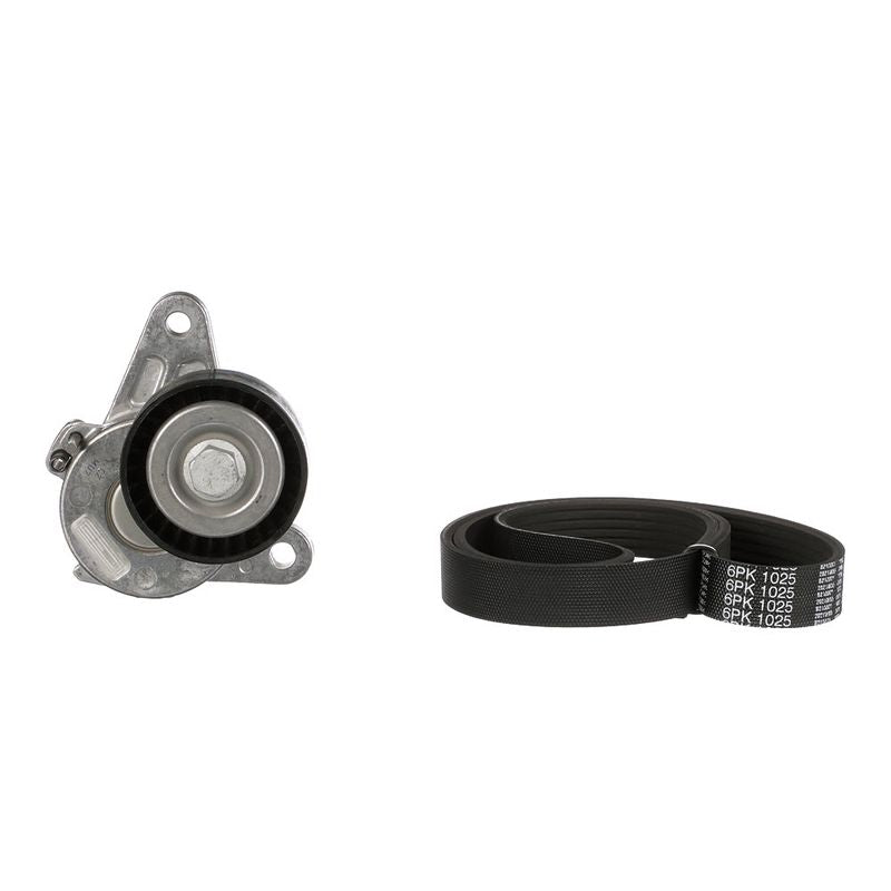 Gates K016PK1025 V-ribbed Belt Set - 2