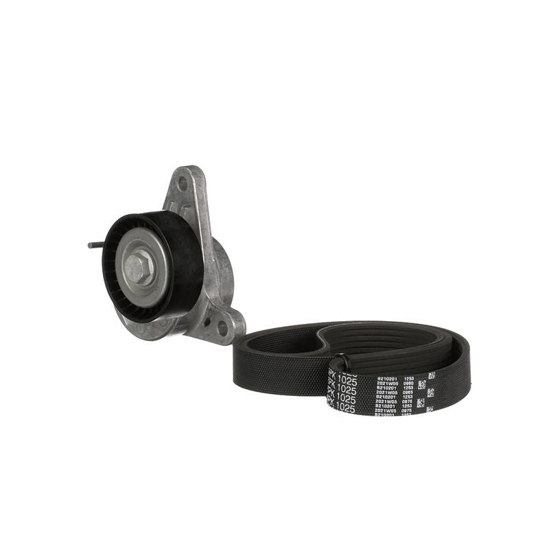 Gates K016PK1025 V-ribbed Belt Set - 5
