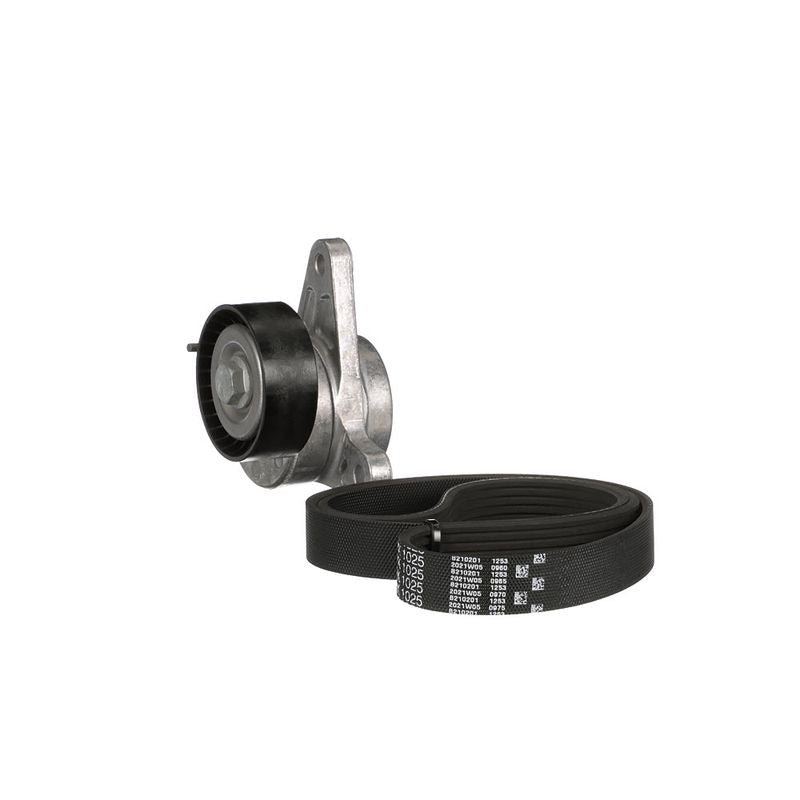 Gates K016PK1025 V-ribbed Belt Set - 6