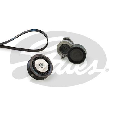 Gates K016PK1125 V-ribbed Belt Set - 1