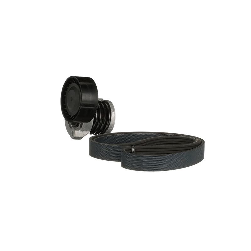 Gates K016PK1175 V-ribbed Belt Set - 6