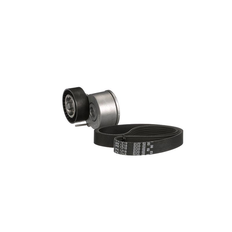 Gates K016PK1218 V-ribbed Belt Set - 6