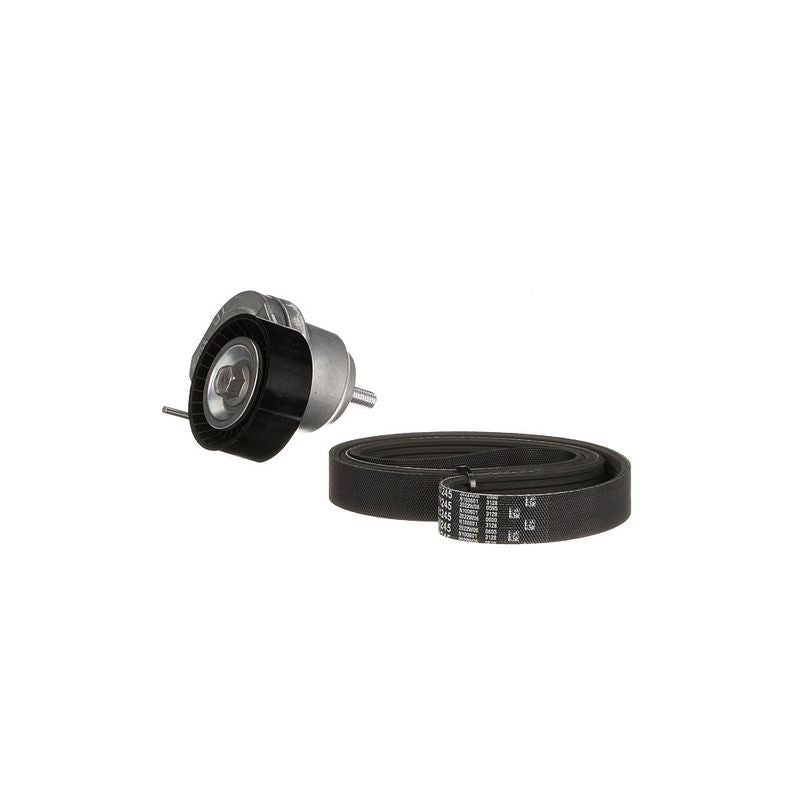 Gates K016PK1245 V-ribbed Belt Set - 6