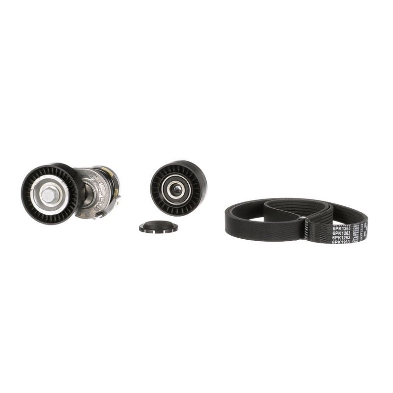 Gates K016PK1263 V-ribbed Belt Set - 3