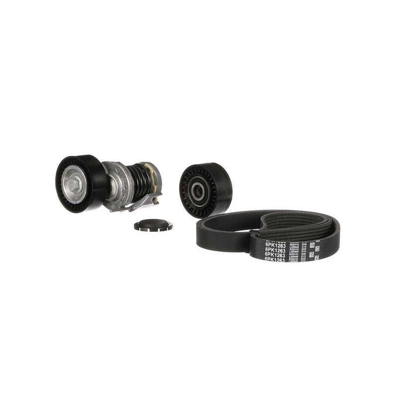 Gates K016PK1263 V-ribbed Belt Set - 5