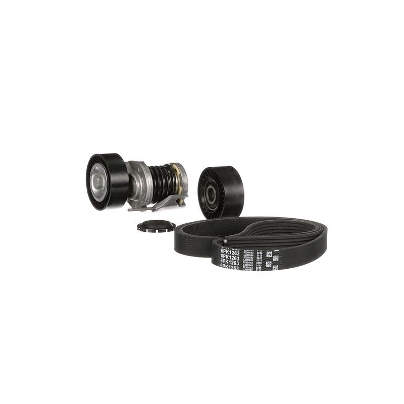 Gates K016PK1263 V-ribbed Belt Set - 6